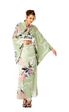 Green Kimono Dress