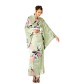 Green Kimono Dress