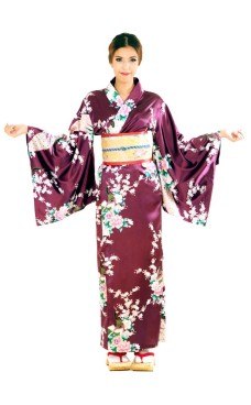 Purple Yukata Dress
