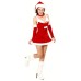 Short Santa Dress