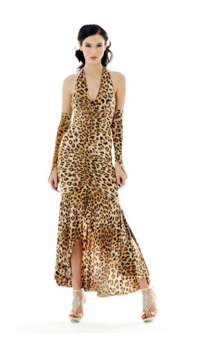 Sexy Leopard Dress