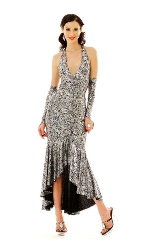Stylish Silver Salsa Dress